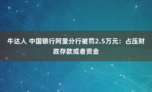 牛达人 中国银行阿里分行被罚2.5万元：占压财政存款或者资金