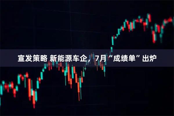 宣发策略 新能源车企，7月“成绩单”出炉