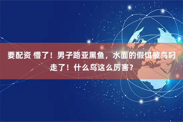 要配资 懵了！男子路亚黑鱼，水面的假饵被鸟叼走了！什么鸟这么厉害？