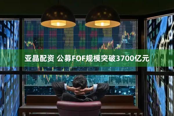 亚晶配资 公募FOF规模突破3700亿元